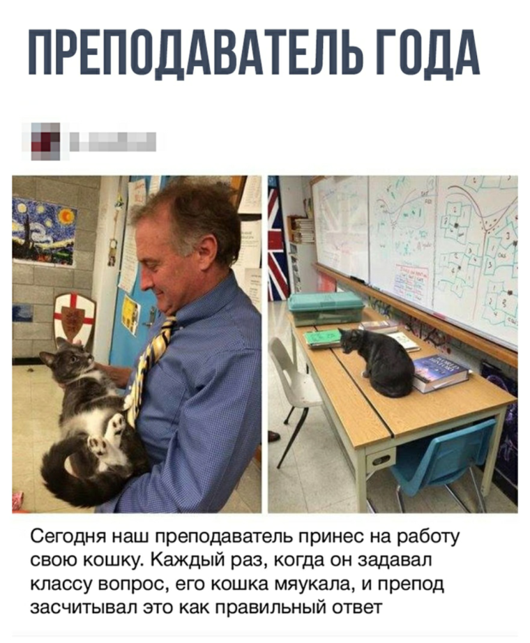 Учитель года юмор