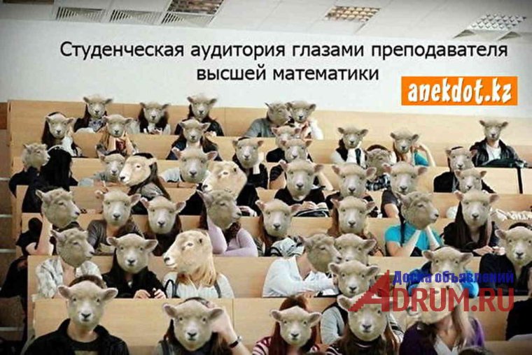 Приколы про студентов