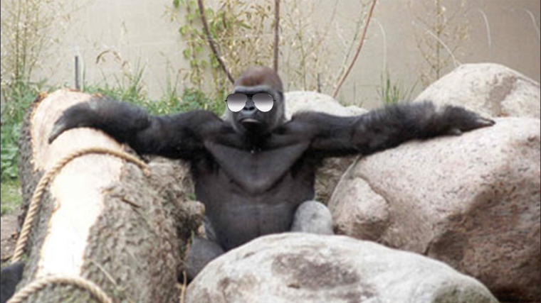 Магнитола горилла