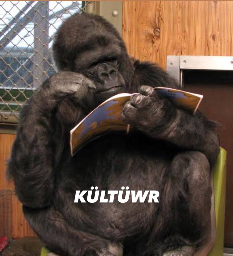 Умная горилла