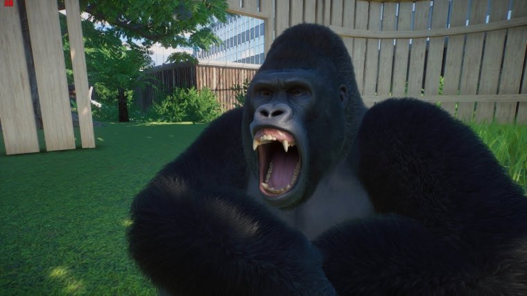 Злая горилла