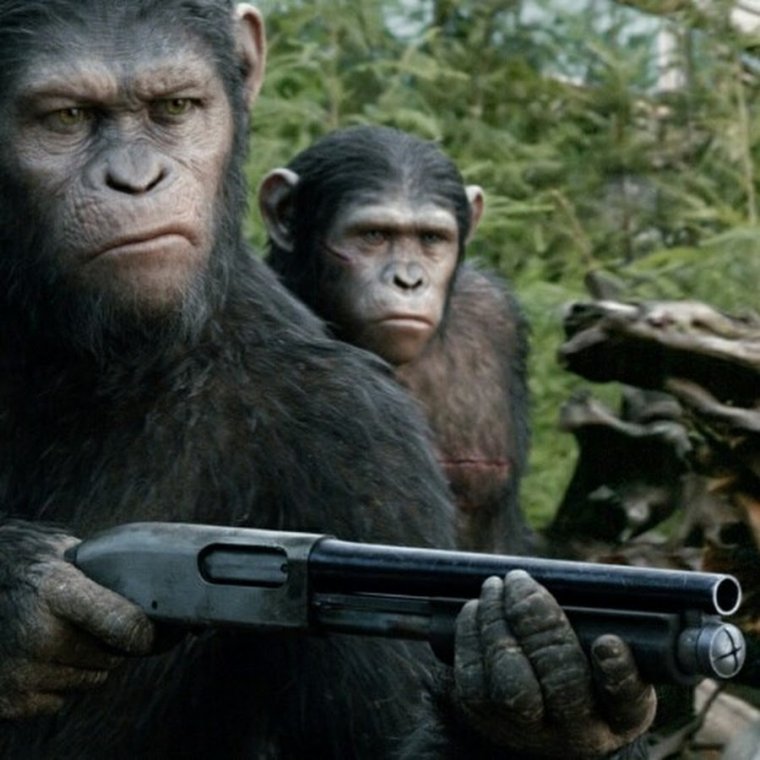 Планета обезьян мэм