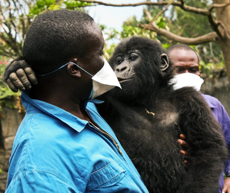 Негр похожий на гориллу