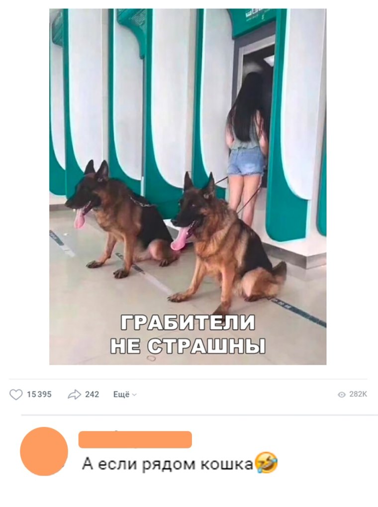 Под надежной охраной