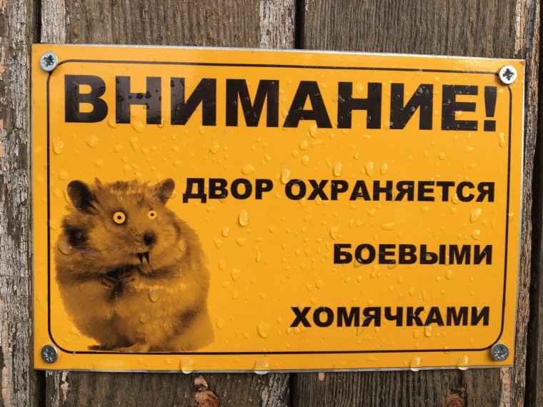 Внимание двор охраняется боевыми хомячками