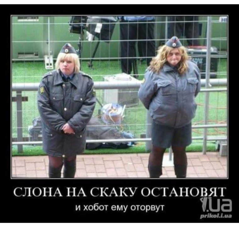 Слона на скаку остановит и хобот ему оторвёт