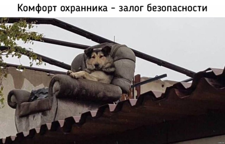 Демотиваторы про охранников