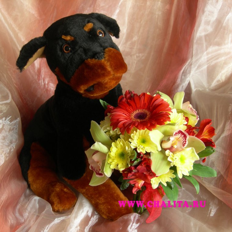 Собачка с букетом цветов