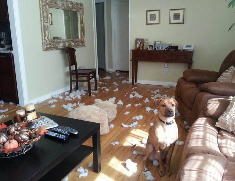 Жуткий беспорядок в квартире