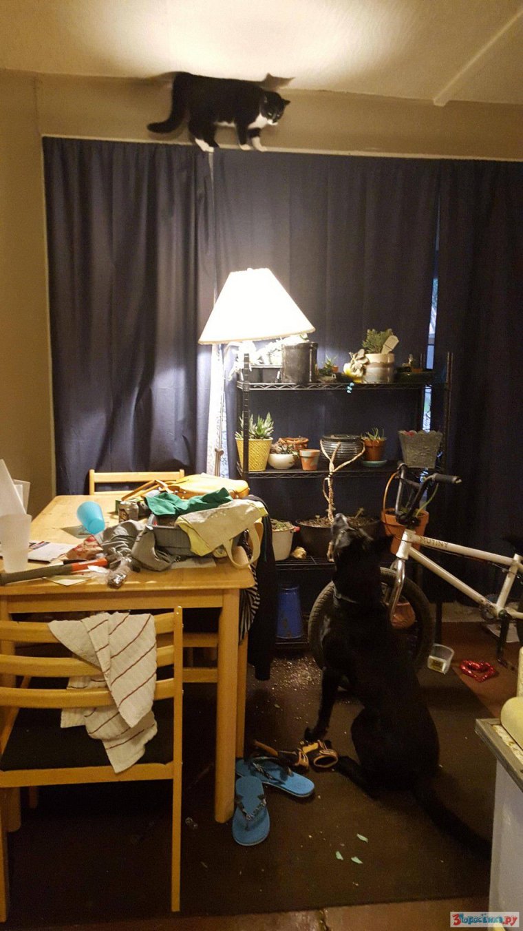 Миссия невыполнима демотиватор