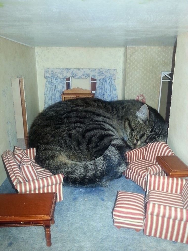 Маленькие квартиры китайцев