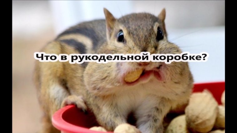 Запасы бурундука