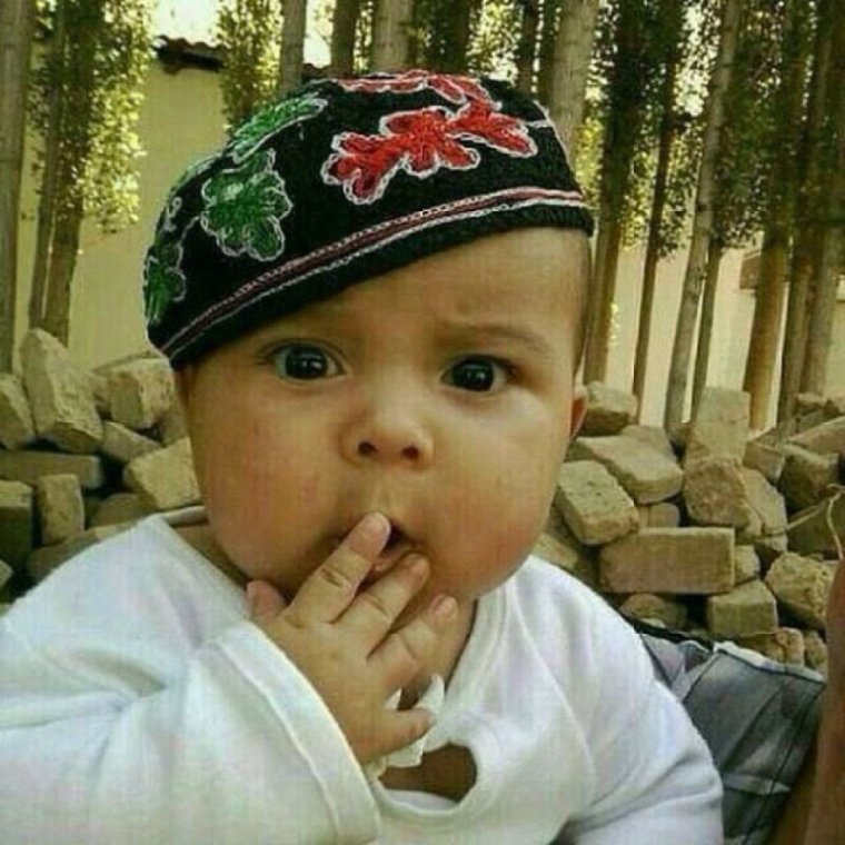 Рыков карыль