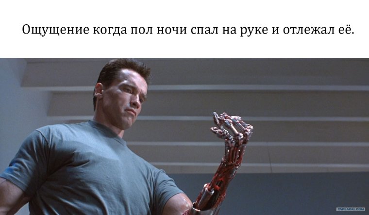 Твои заказчики мертвы Мем