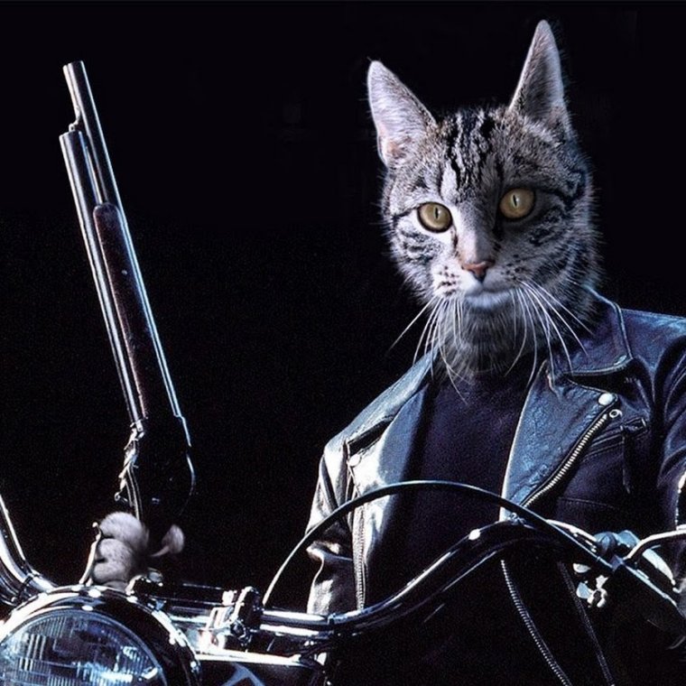 Смешной Терминатор