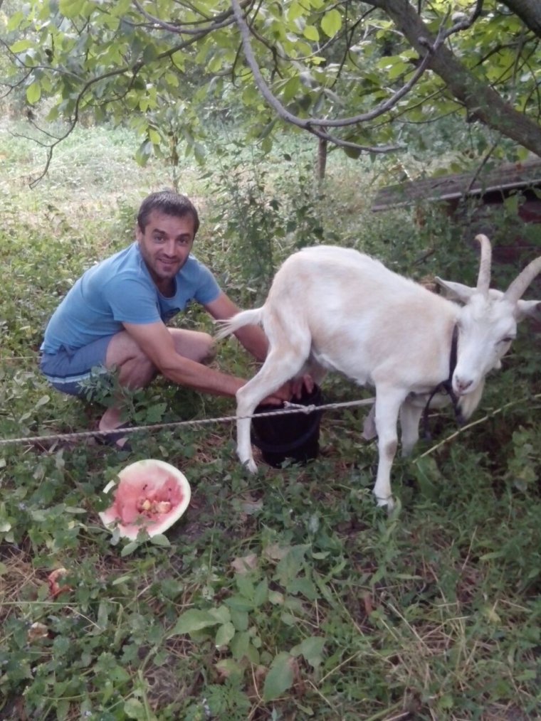Оскорбивший азербайджанцев армянин