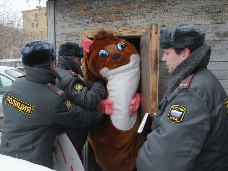 Бутерброд в мусорке