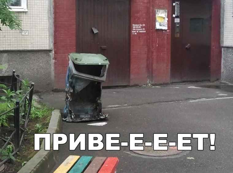 Приколы с мусорными баками