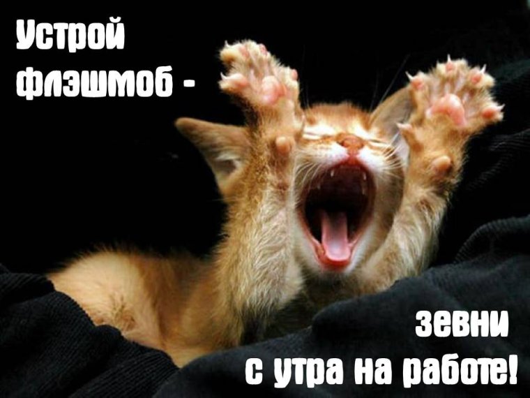 Доброе утро пятницы