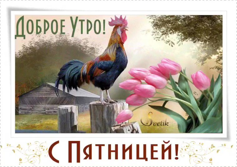 Открытка доброе пятничное утро