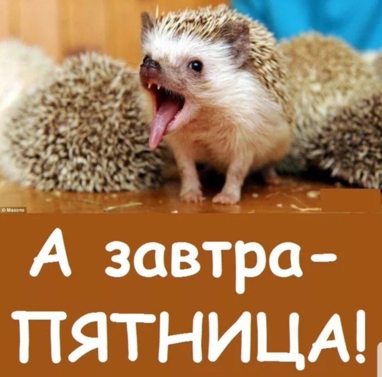 Поздравление с пятницей