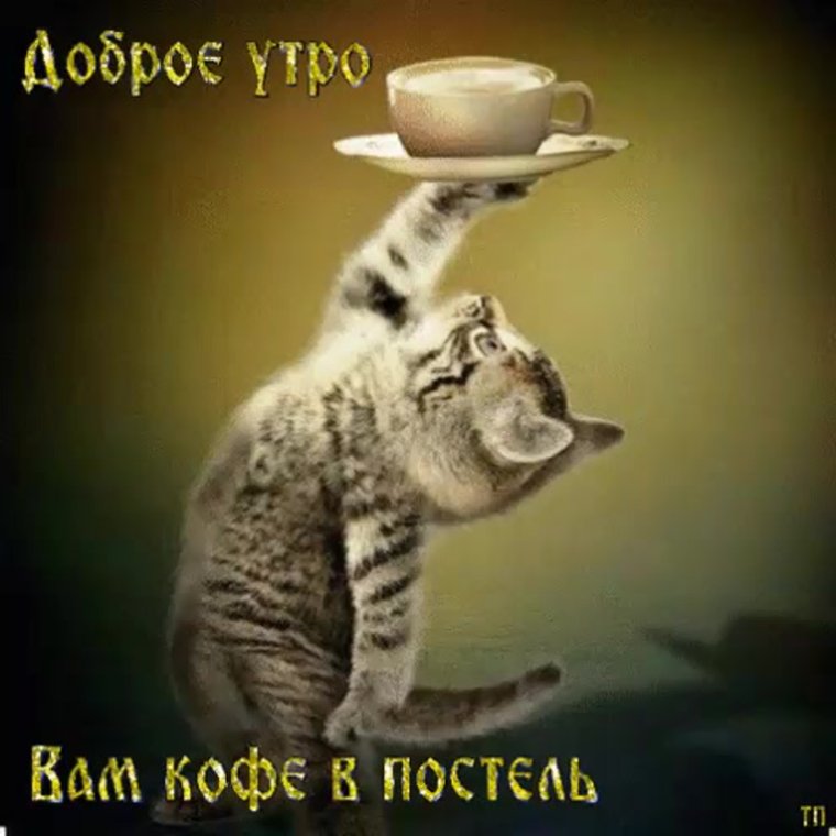 Доброе утро пятницы прикольные
