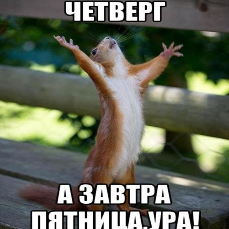 Афоризмы про пятницу