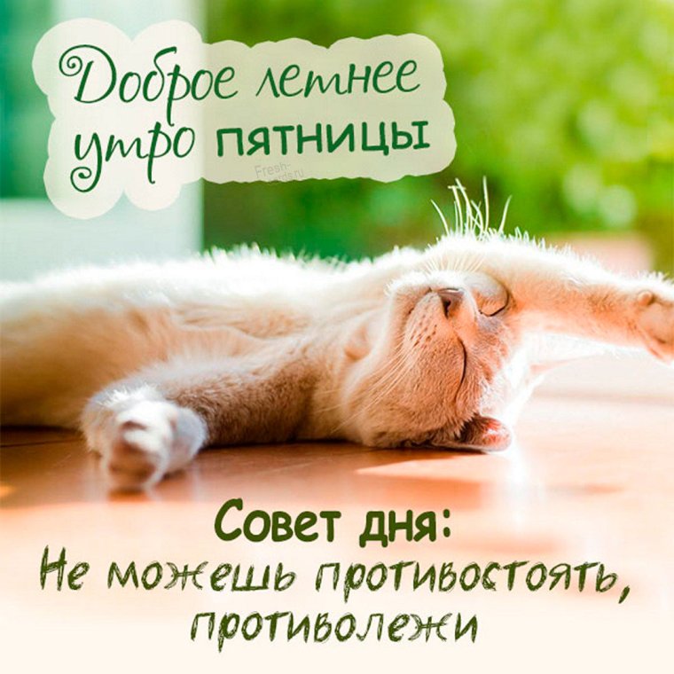 Доброе утро сегодня пятница