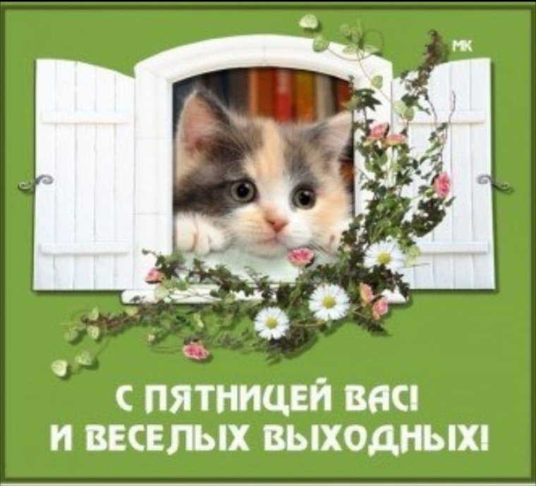 Пятница 13поздрааленич
