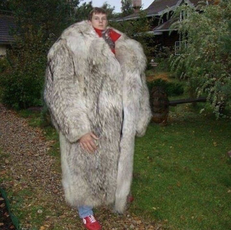 Шуба из смешные