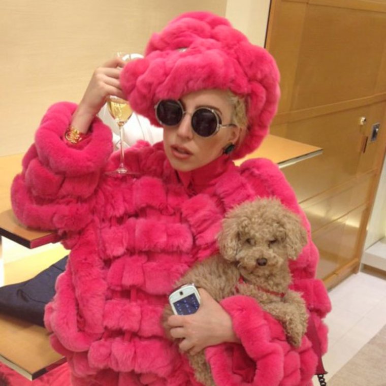 Леди Гага в розовой шубе