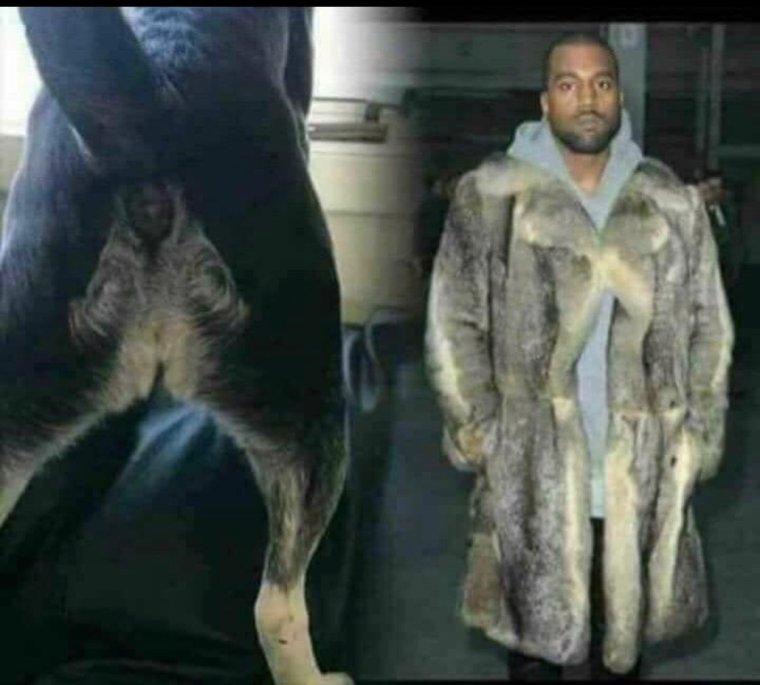 Шуба из обезьяних попок