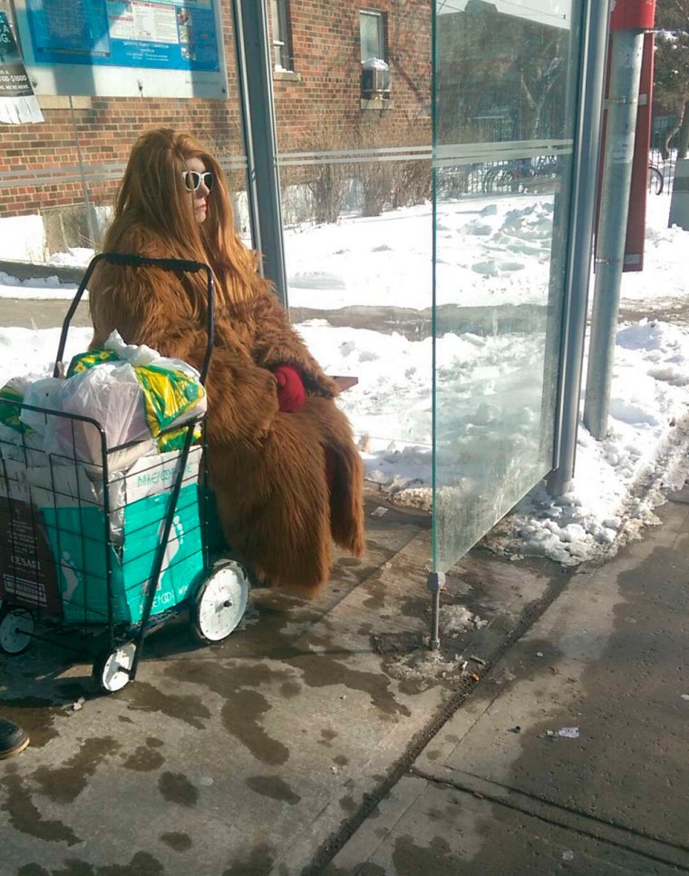 Лето в шубе прикол