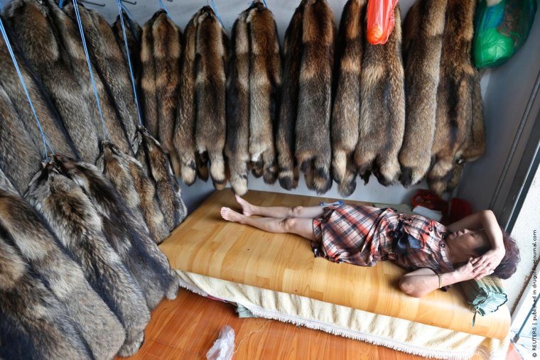 Прикольная норка