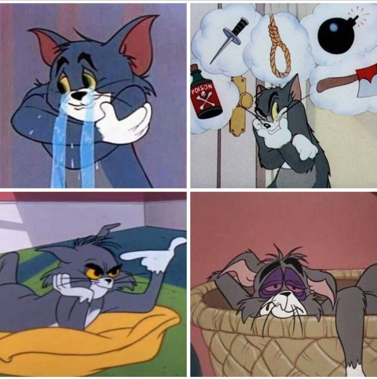 Приколы про Тома и Джерри