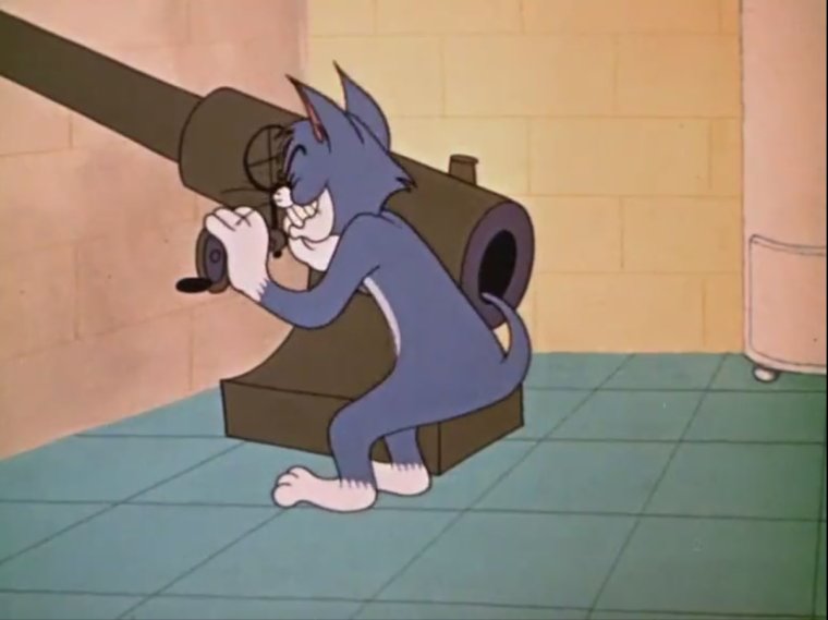 Том и Джерри том с ружьем