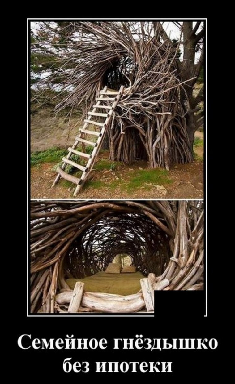 Смешно демотиваторы