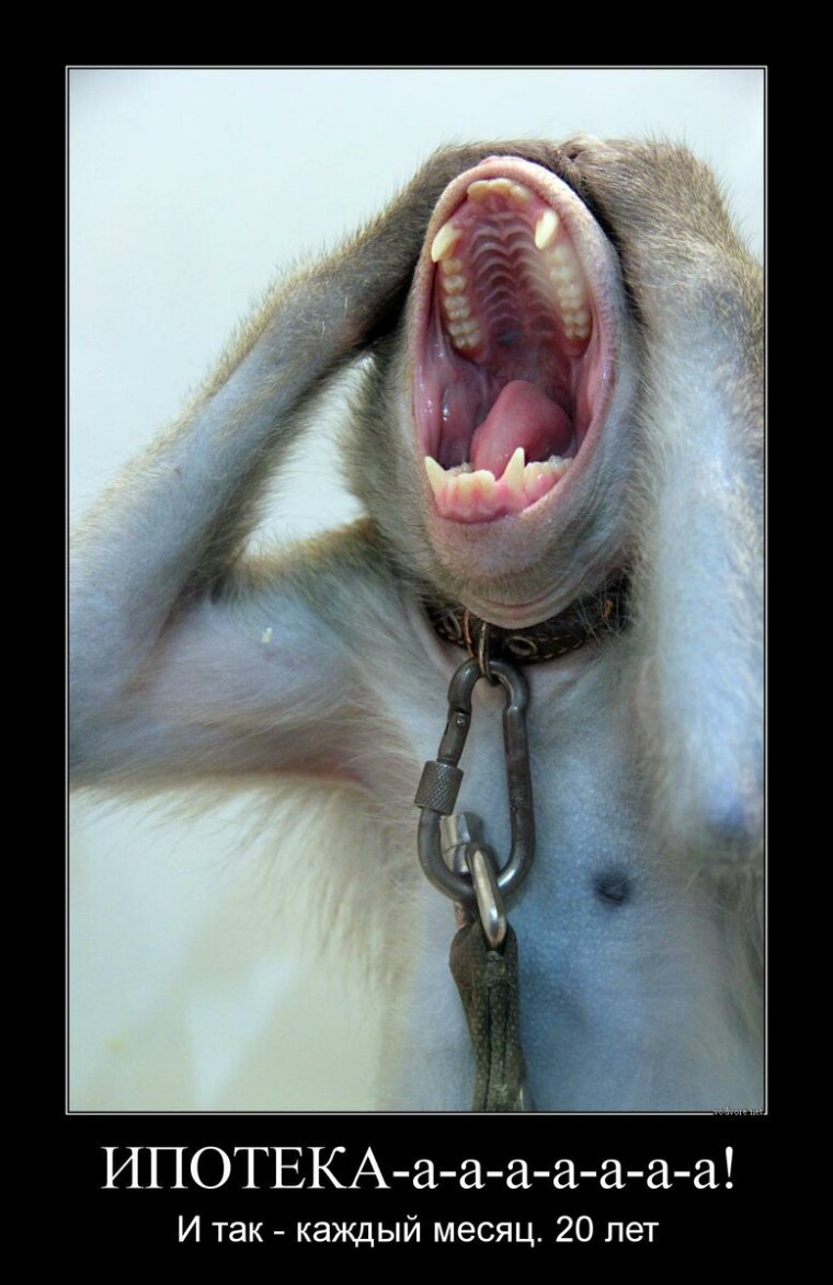 Ипотека прикол