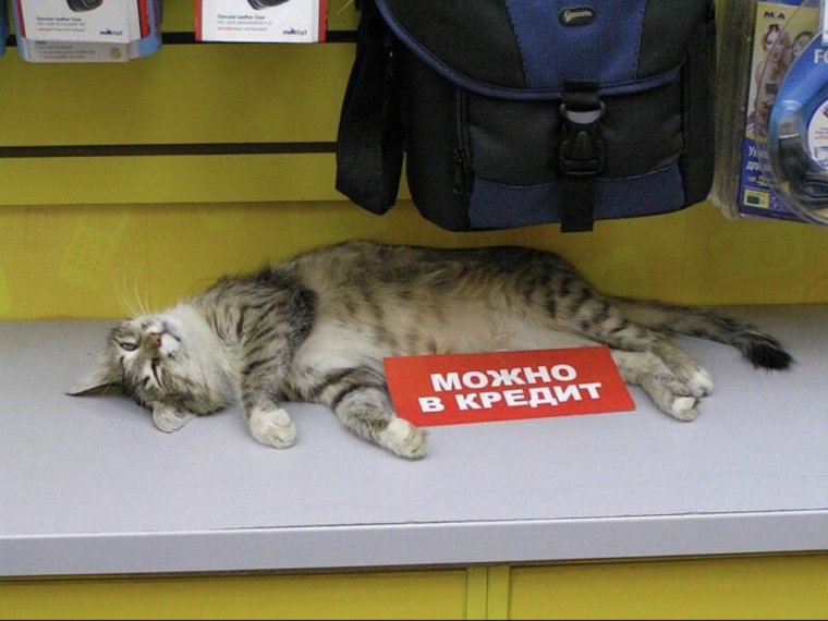 Кредит прикол