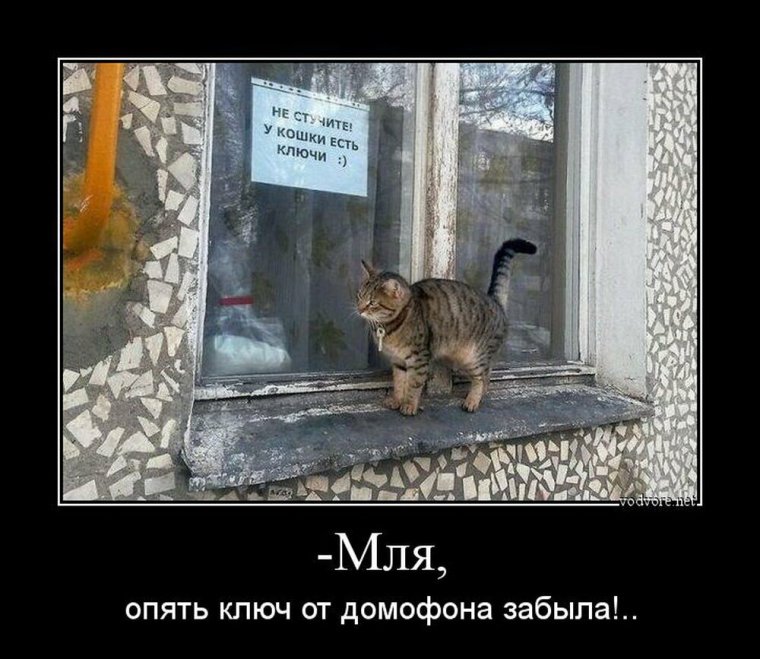 Прикольные демотиваторы с надписями