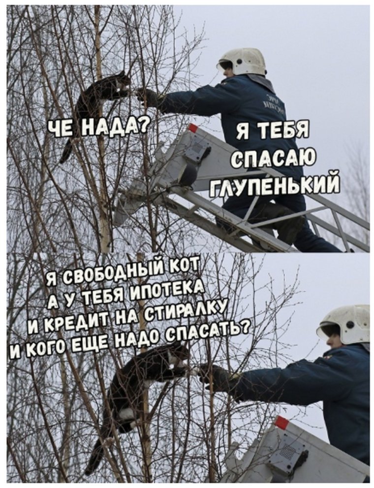 Тебя спасать надо