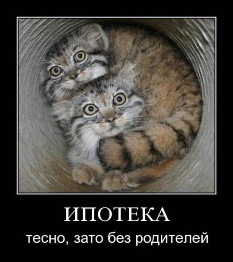 Ипотека зато без тещи