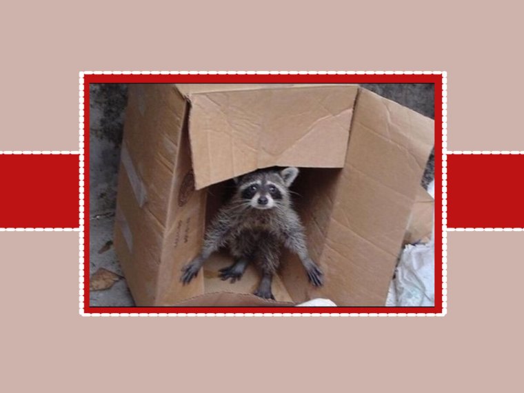 Человек с ипотекой по дням мемы