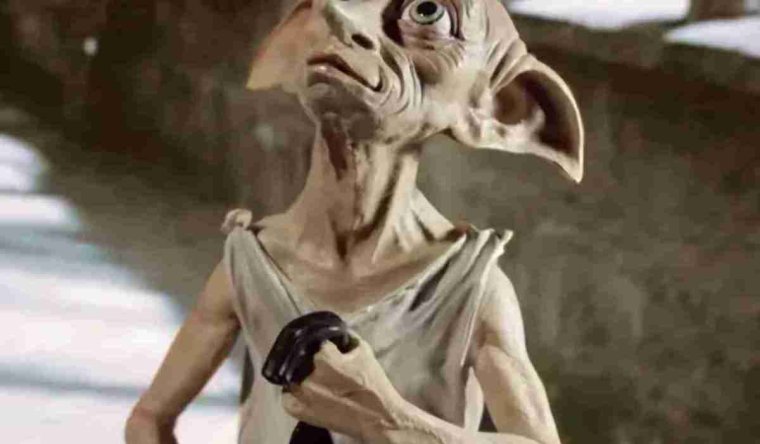 Хозяин дал Добби носок Добби свободен