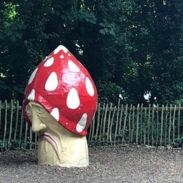 Мухоморы ржачное