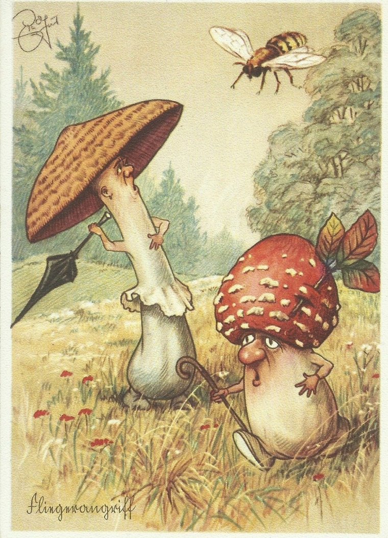 Поганка прикол