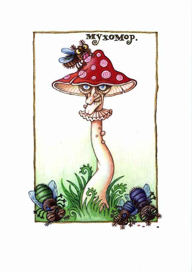 Вадим Трунов белки и птицы