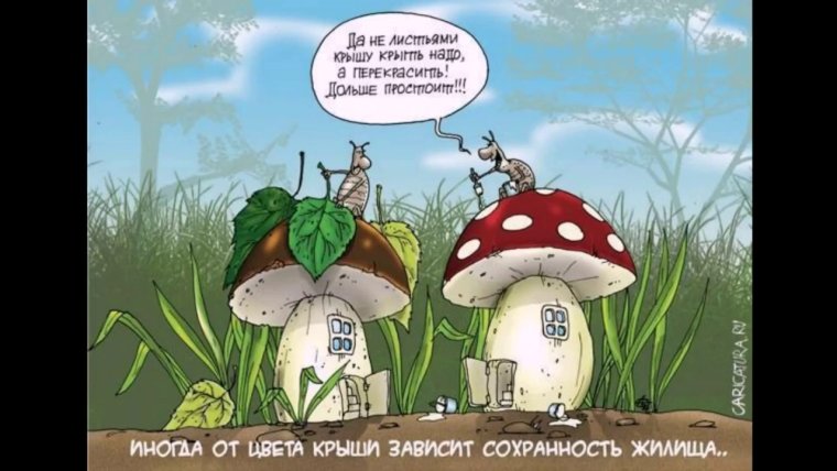 Мухомор картина