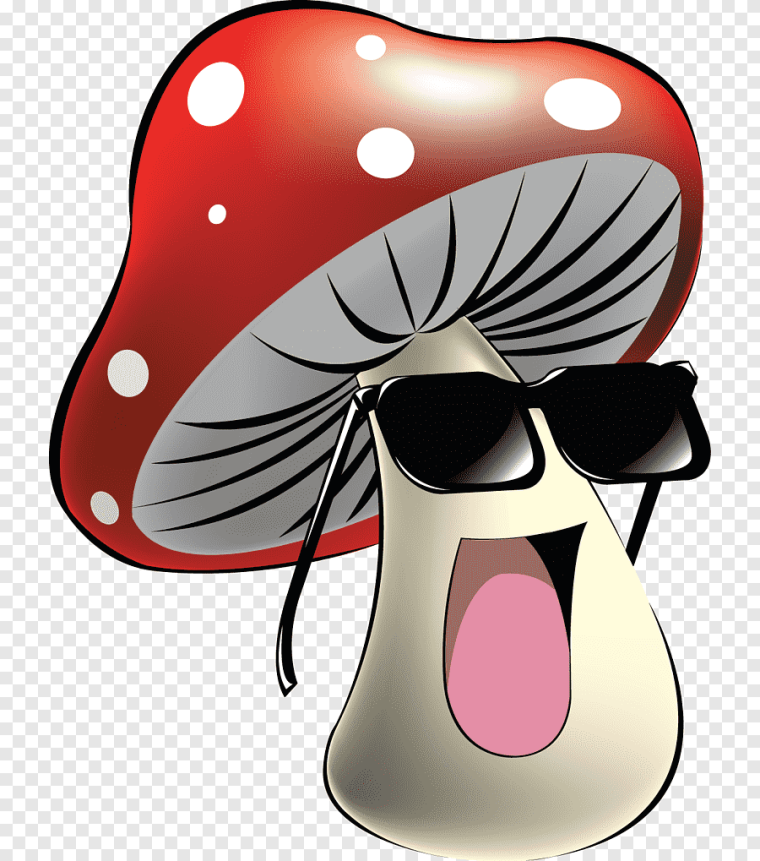 Мухомор Элиаса