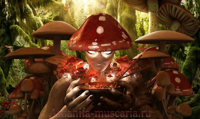 Прикольный мухомор